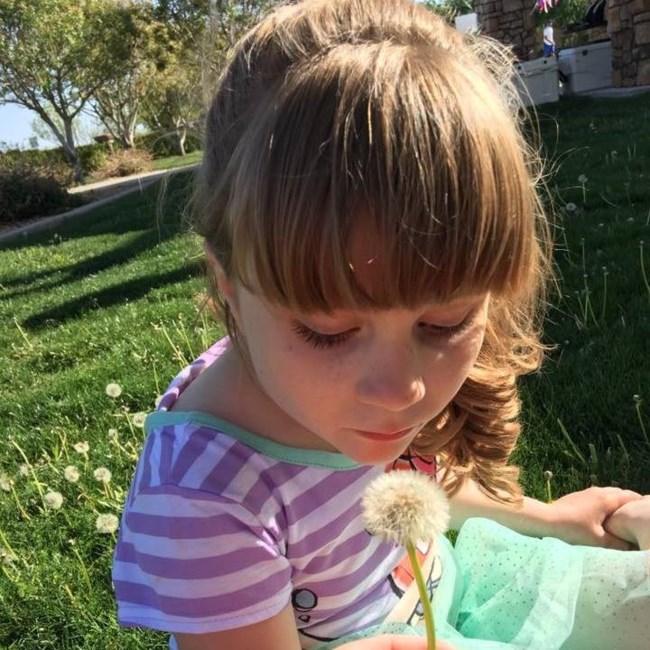 Obituary of Skyler Madison Goodwin