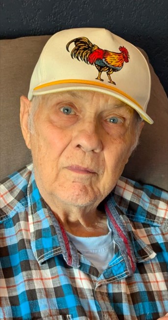 Obituary of Walter Henry Palmberg Jr.