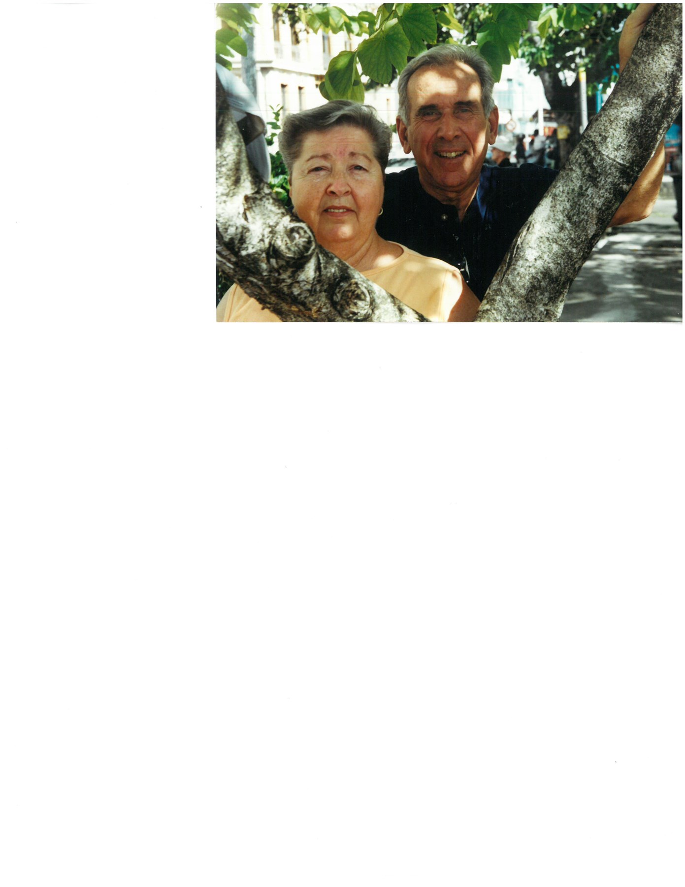 Obituary of Beverly Ann Tarantino