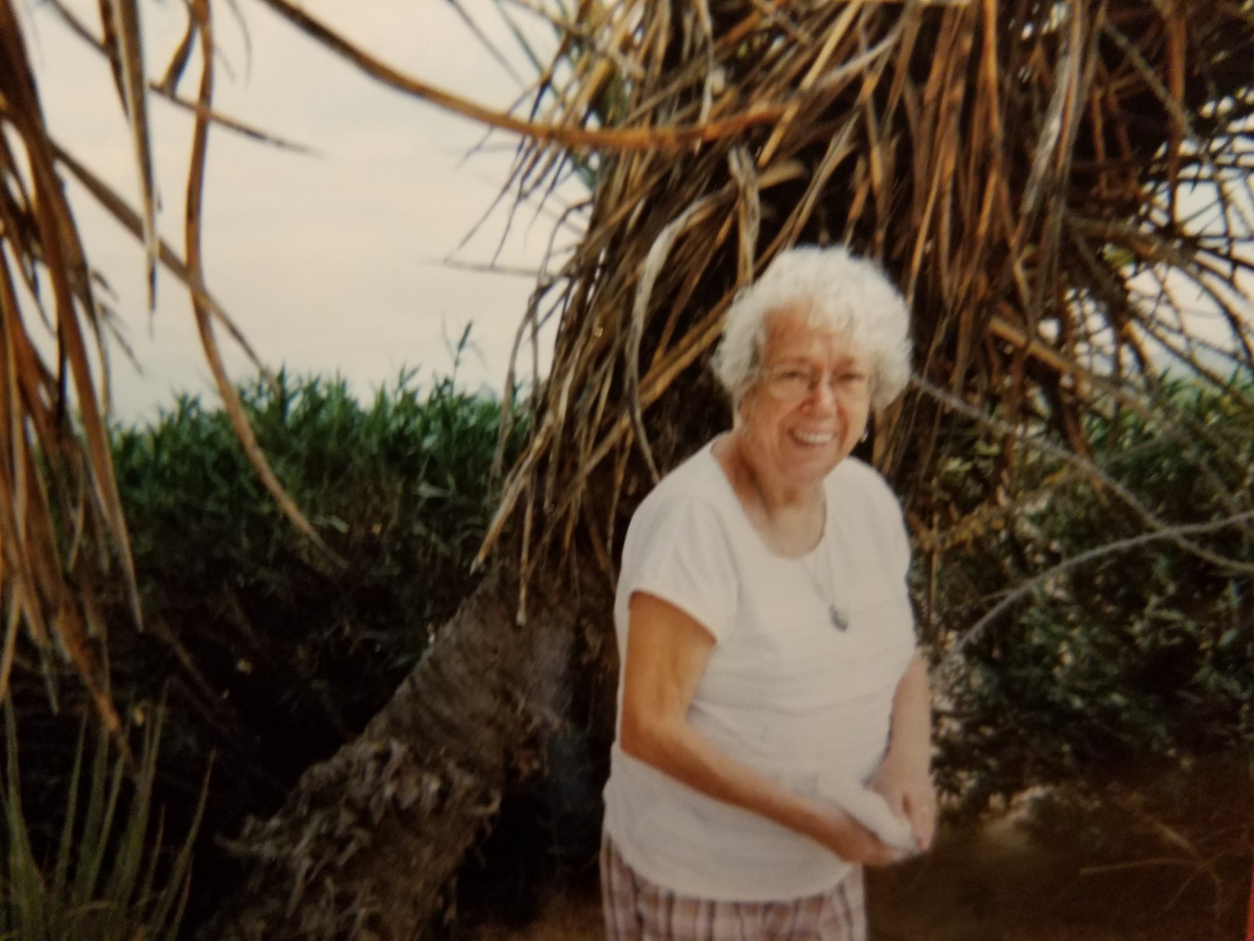 Obituary of Carol L. Palazzolo