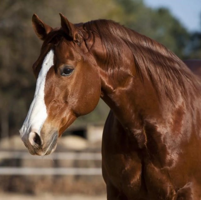 Obituary of Beverly F. Berry
