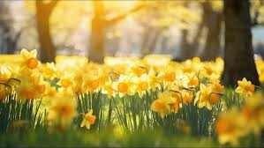 Avis de décès de Juana Sanchez Limon