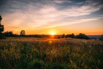 Obituary of Marianne D Badermann