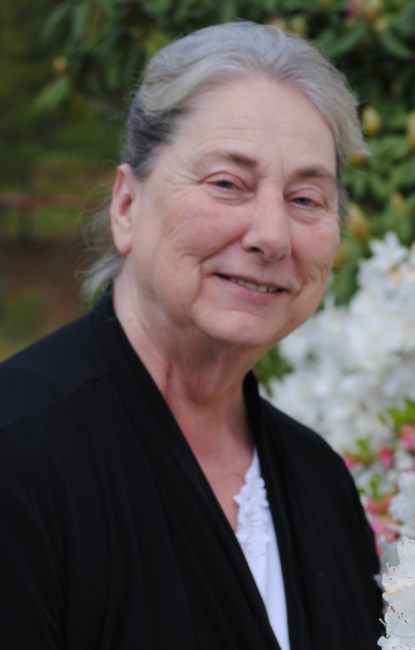 Obituary of Sandi Lea (Wright) Stepp