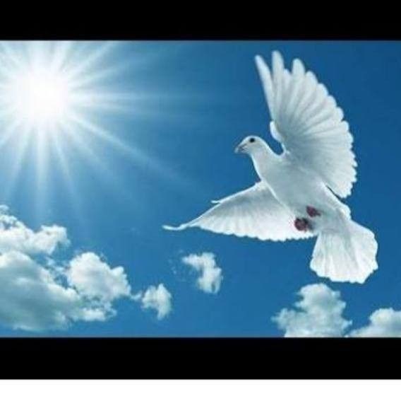 Obituary of Carlos Franklin Fawcett Carvajal