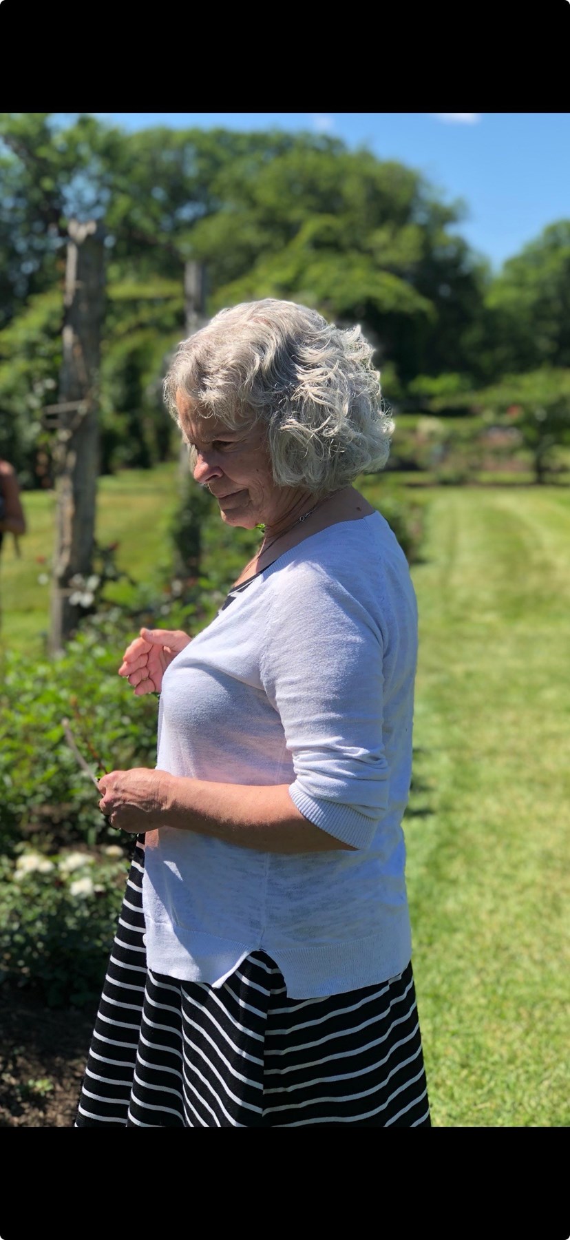 Obituary of Jacqueline Mary Siegel