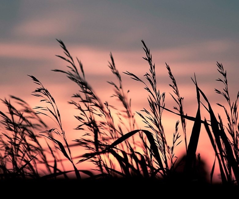 Obituario de Donald John Sutton Jr.