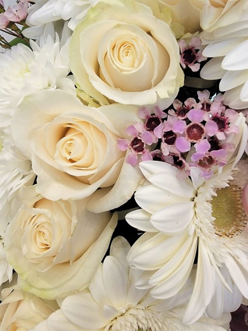 Obituary of Qing Jin Xu