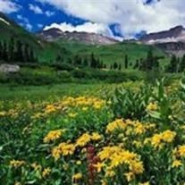 Obituary of Glennis George Beck