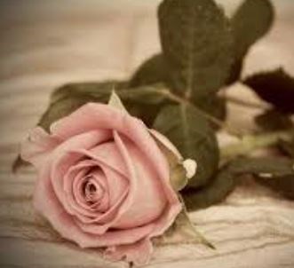 Obituary of Ruby Delgado