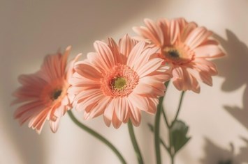 Obituary of Eileen Keyes