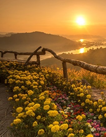 Obituary of Arnulfo Garcia