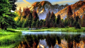 Obituary of Carlos Augusto Coello