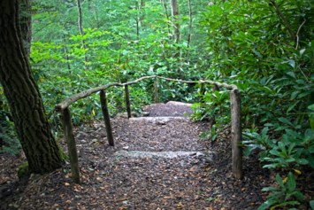 Avis de décès de Gabriel Gonzalez