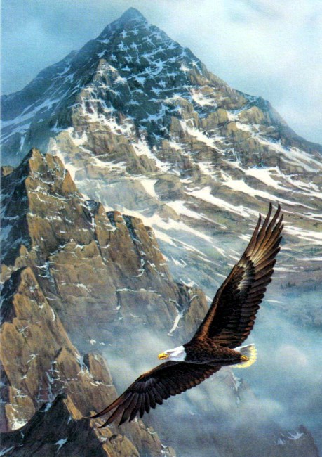 Obituary of Frank C Hartmann