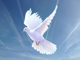 Obituary of Dorothy Allen Jasper