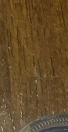 Lisa Wilks Obituary - Memphis, TN