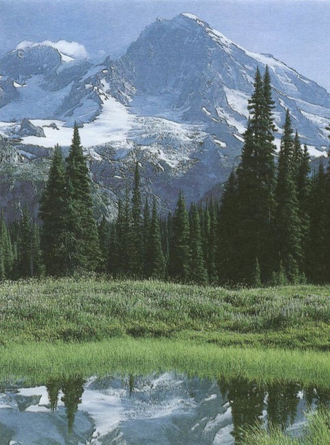 Avis de décès de Charles William Wesner