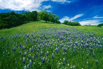 Obituary of Martin James O'Malley Jr.