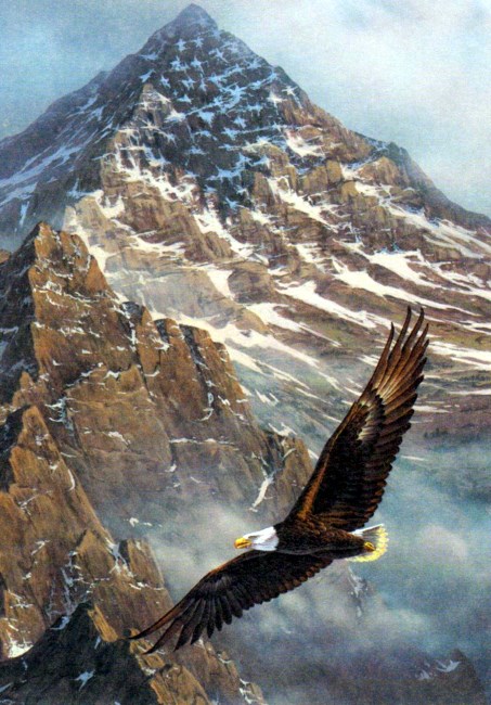 Obituary of Edgar T Swanson Sr.