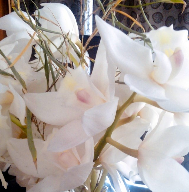 Obituary of Narcisa Parayno Domingo