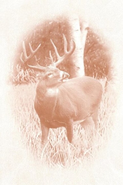 Obituary of Reginald Russell Hunwicks