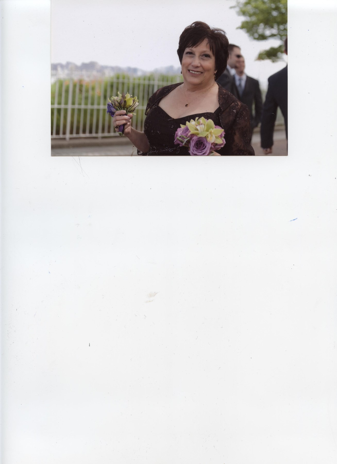 Obituary of Shelley Ann Wolff