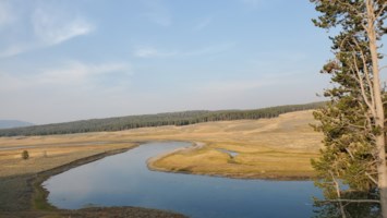 Obituary of Charlynn Anice Robinson