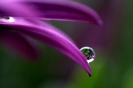 Obituary of Mary G. Pascoe