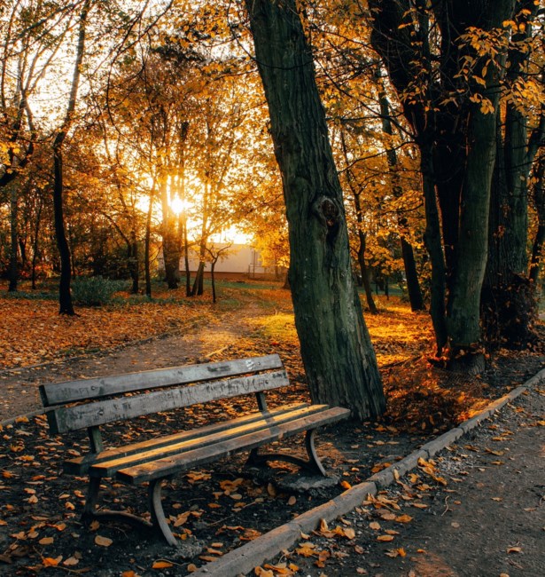 Obituary of Harold Goldstein