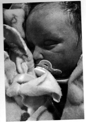 Obituary of Connor Kadin Harmon-Palmer