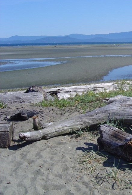 Obituary of Malcolm Andrew LEWIS