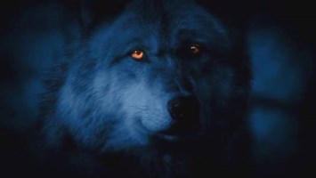 Obituary of Angelo Pete Peperakis