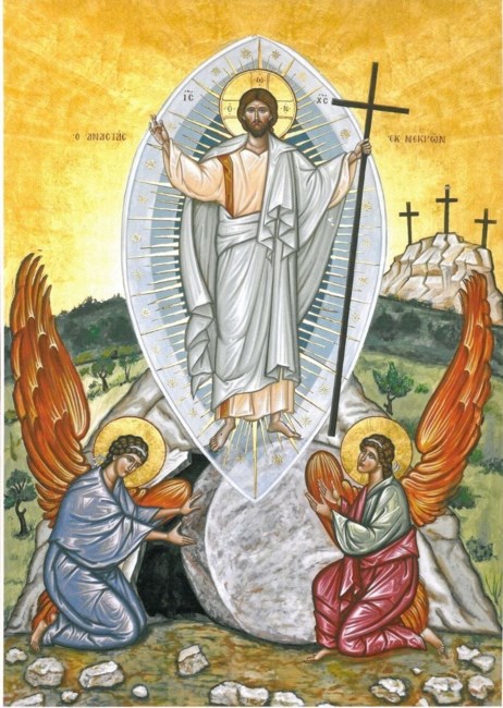 Obituary of Lee Allon Neimeister