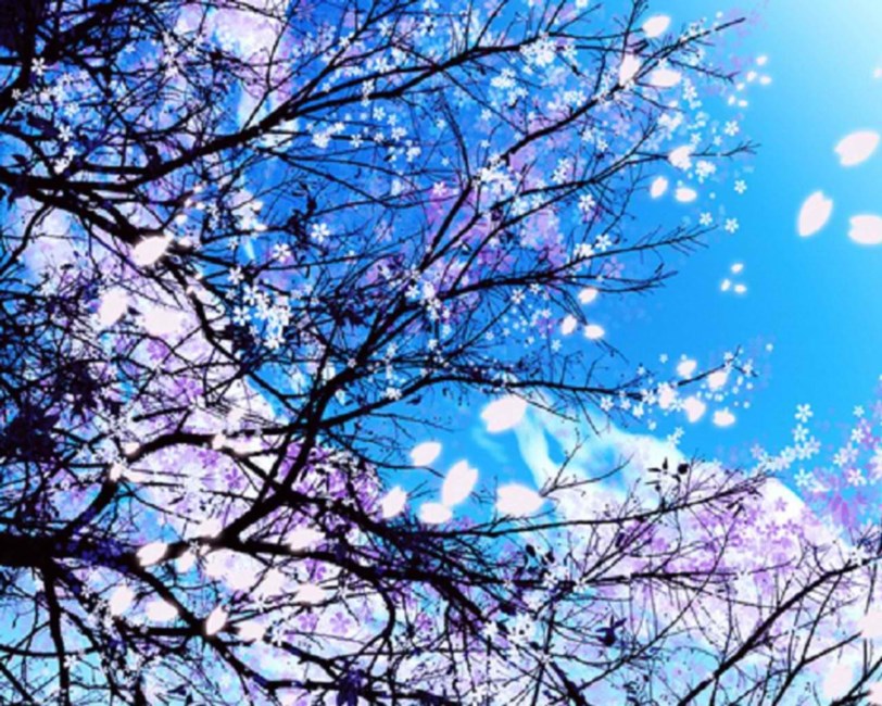 Obituary of Janice Elaine Silva