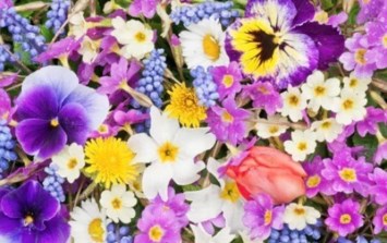 Obituary of Lorraine R Eaton