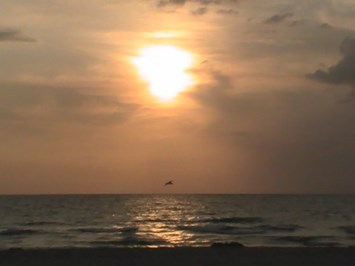 Obituary of Barbara E Kantack