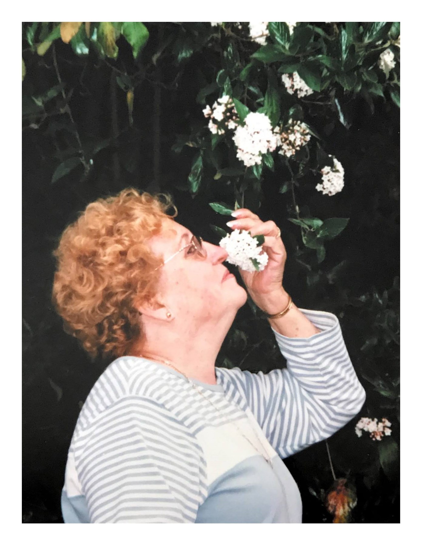 Obituary of Frances L. Sather