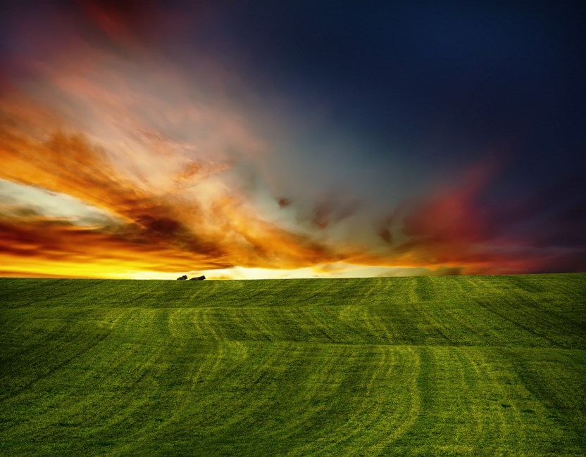 Obituary of Edgar H. Behn