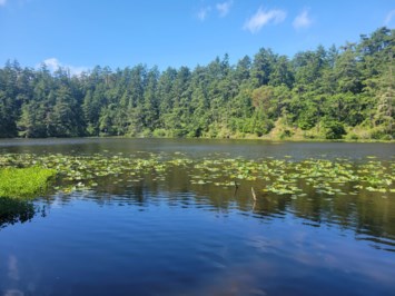 Obituary of Adam Christopher Prescott Lamb