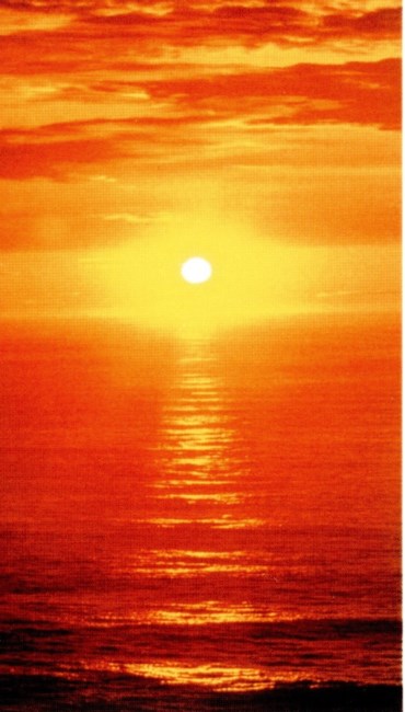 Obituary of Alice R. Bruce