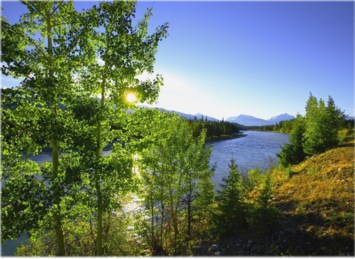 Obituary of Florence M Kehoe Wavle