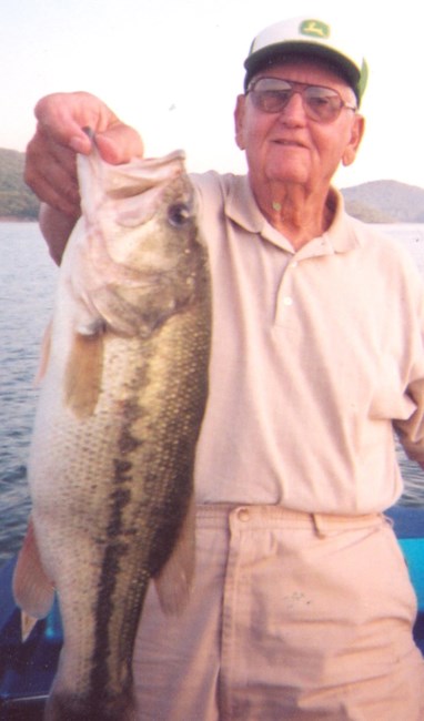 Obituary of Bill Collins