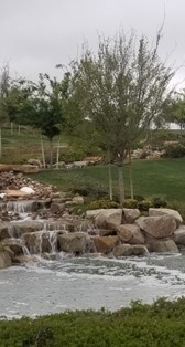 Obituary of Todd Lee Augustine