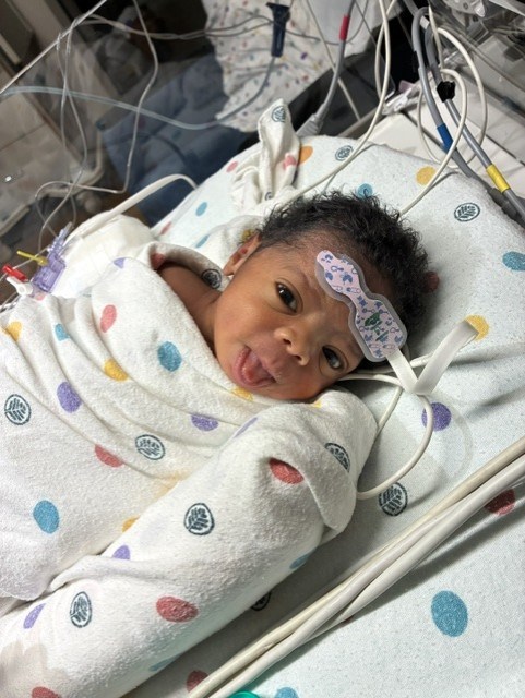 Obituary of Alora Grace Hunt