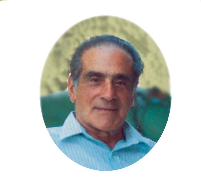 Obituary of Enrico Stefani