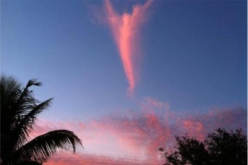 Obituary of Sally Ann CAIN