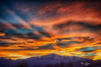 Obituary of Melvin D. Winter