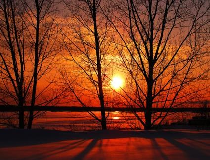 Obituario de Muriel F. Murphy