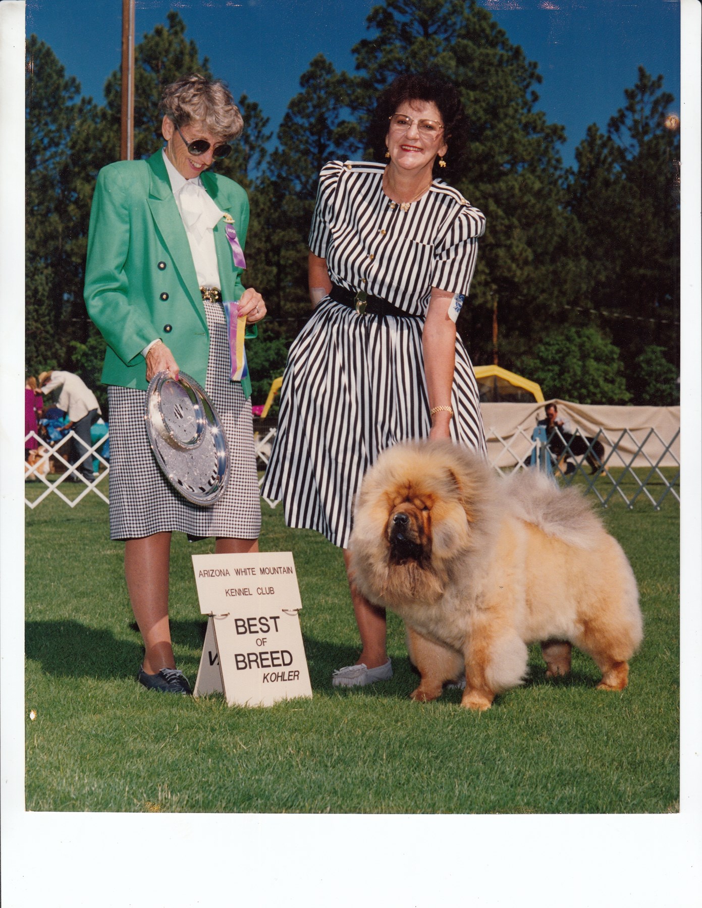 Obituary of Margaret Ann Stewart